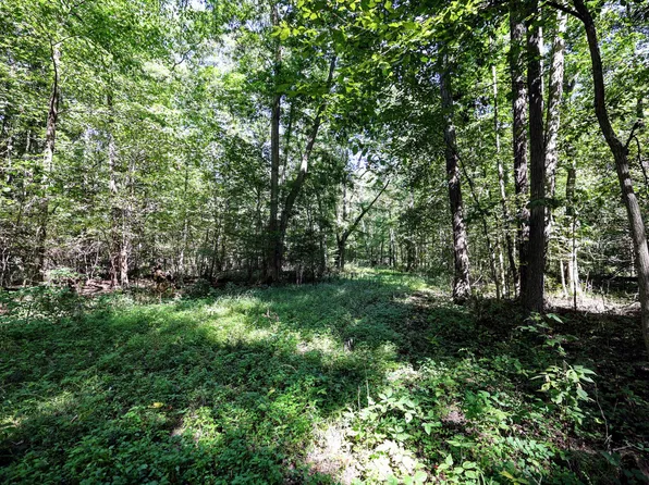 Vl Summit Rd, Leonidas, MI 49066