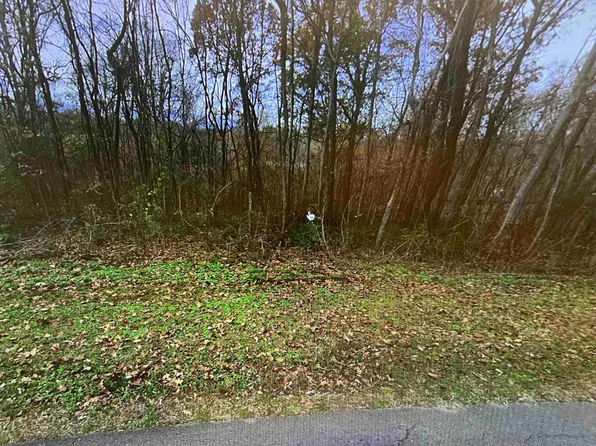 1.0 Mountain View Dr, Russellville, AL 35653