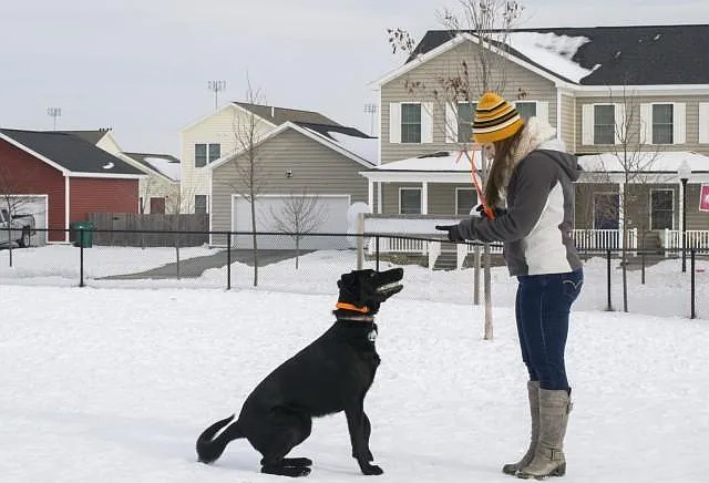 Your furry family members will enjoy our designated pet areas all year long.