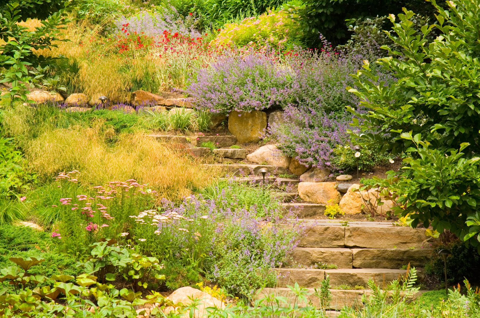  Meandering Paths and Lush Flower Beds