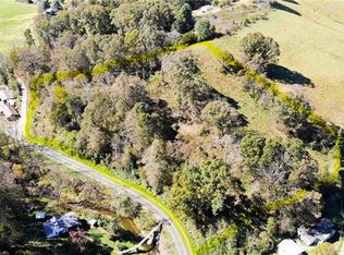 96 Winter Hawk Dr, Clyde, NC 28721