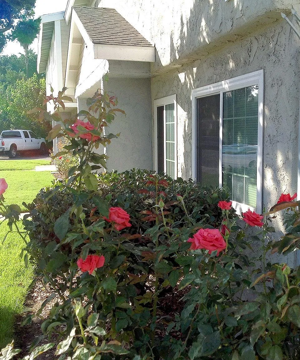 4 bed, 1100 sqft, $3,200 — Photo 4