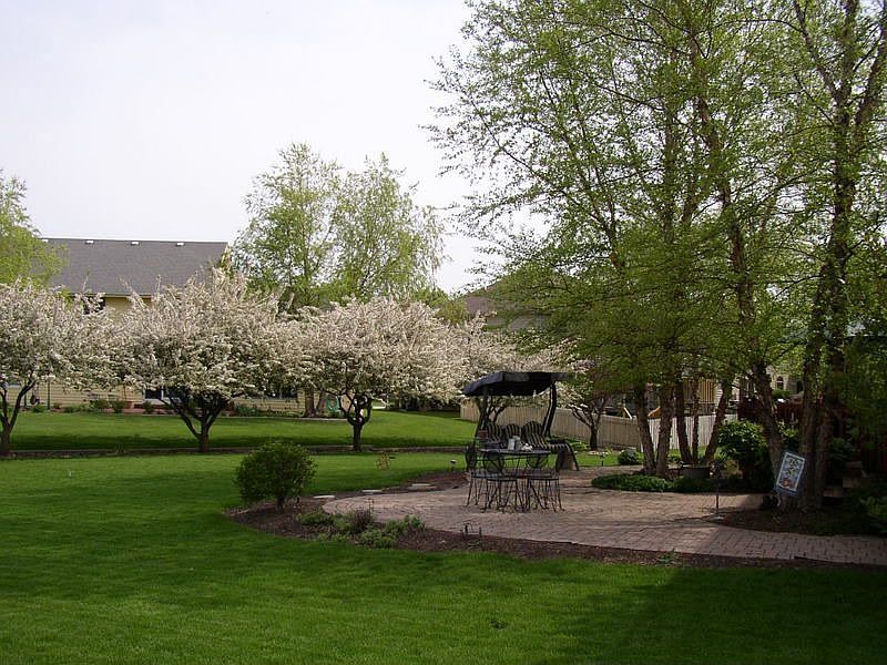 Great Rear Yard