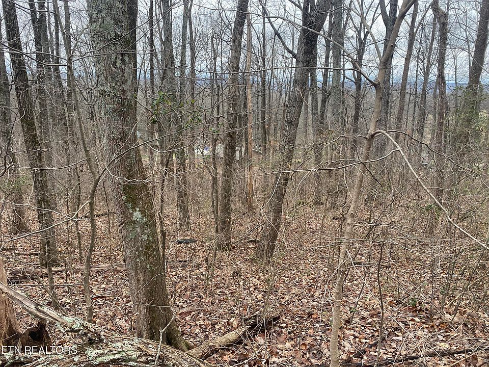 1st image of Edgewood Dr