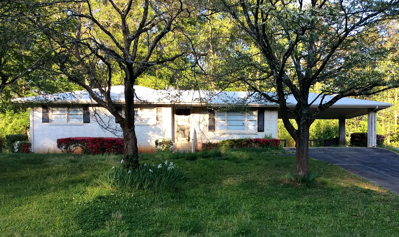 1009 Skylark Dr photo 1