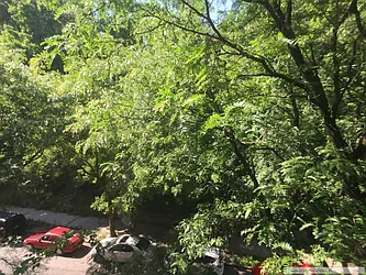 Rented by Sovereign Associates