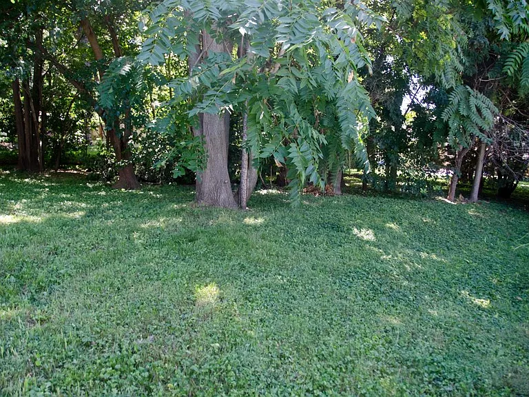 5631 Pine St — Photo 32