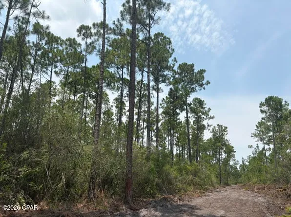 22563 NW Lake McKenzie Blvd, Altha, FL 32421