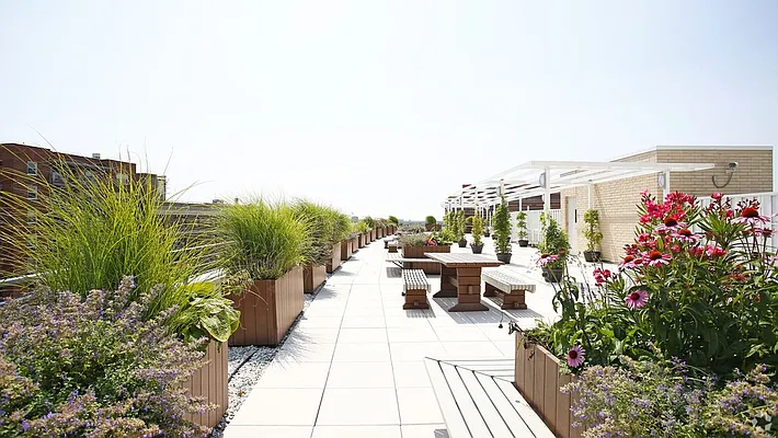 Rented by The Dermot Realty Management Company | media 9