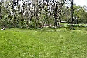 Backyard with woods and pond