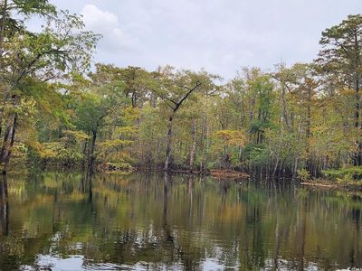 tbd Riverside Dr., Conway, SC, 29526