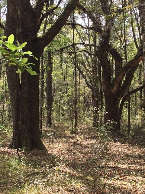 1st image of E Bear Hollow Trl