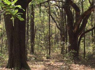 E Bear Hollow Trl, Greenville, FL 32331