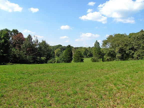 Loads of mature trees