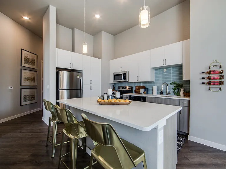 The Monarch Medical District Apartments — Photo 16