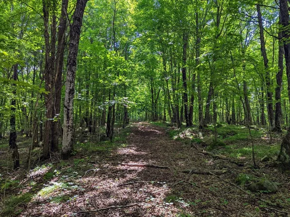 W4361 Musser Dr, Phillips, WI 54555