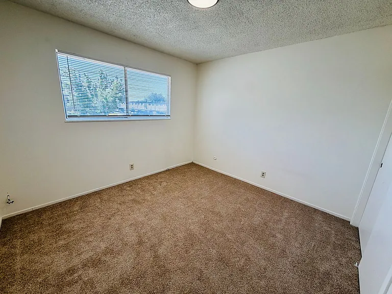 203 W Benjamin Holt Dr — Photo 29