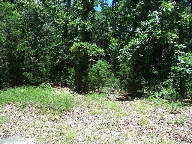 1st image of 609 Driftwood Ln