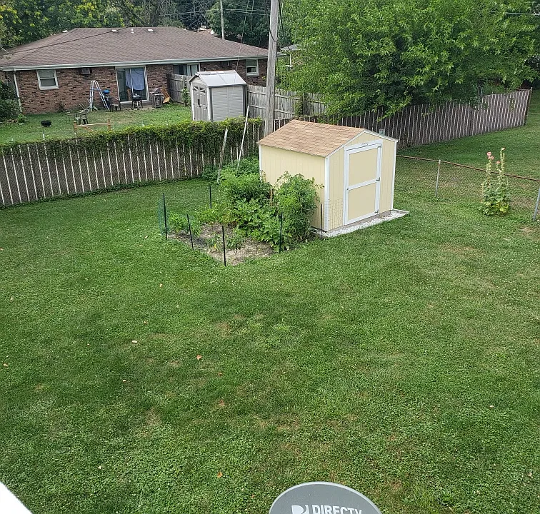 Shed