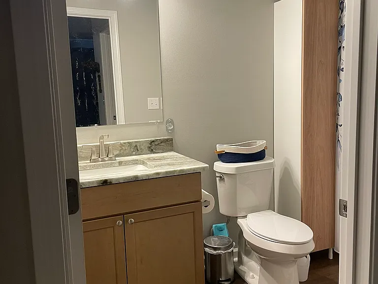 Master bathroom