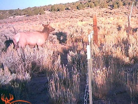 3rd image of Tbd Bs Rd