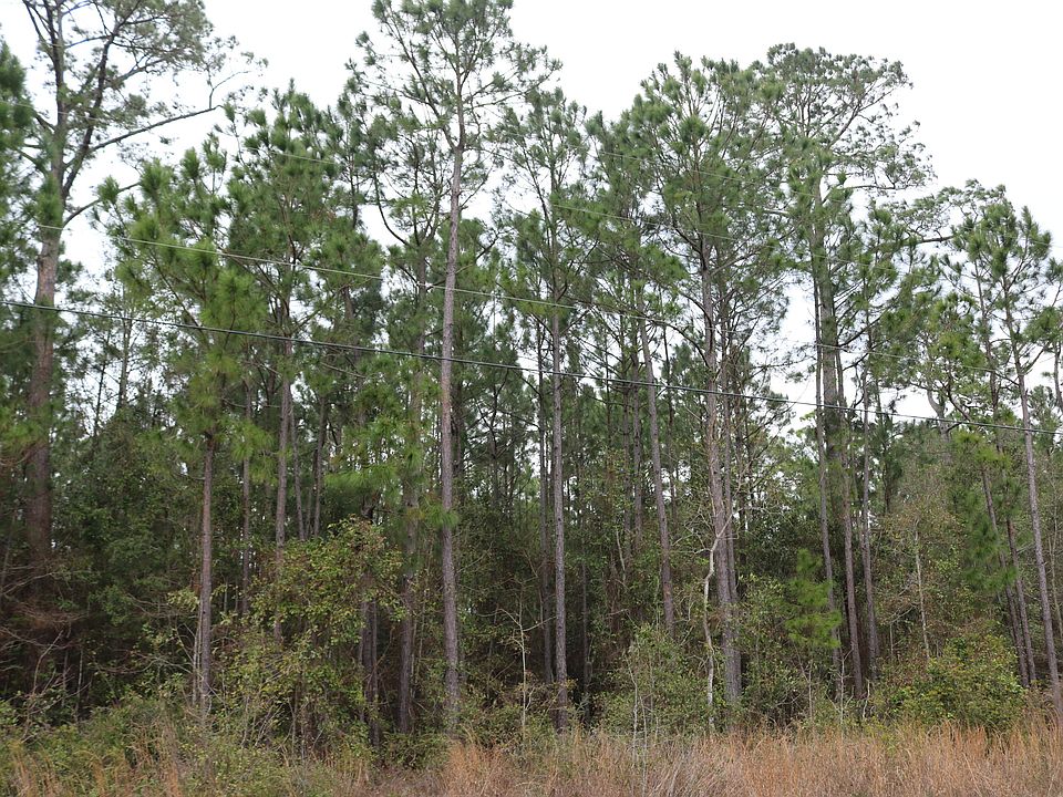 1st image of Harbour Oaks Dr Lot 12