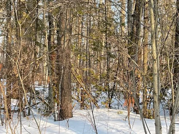 0 Sugarbush Cres, Trent Lakes, ON K0L 1J0