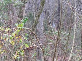 723 Gnatty Branch Rd, Pigeon Forge, TN 37876