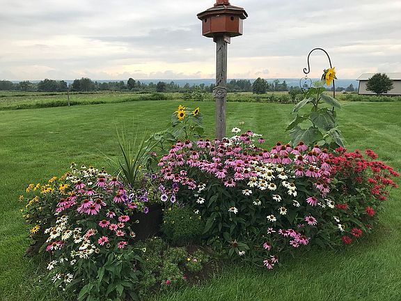 Backyard with pastural views