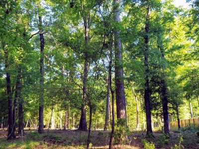 240 Plantation Ln, Walterboro, SC, 29488