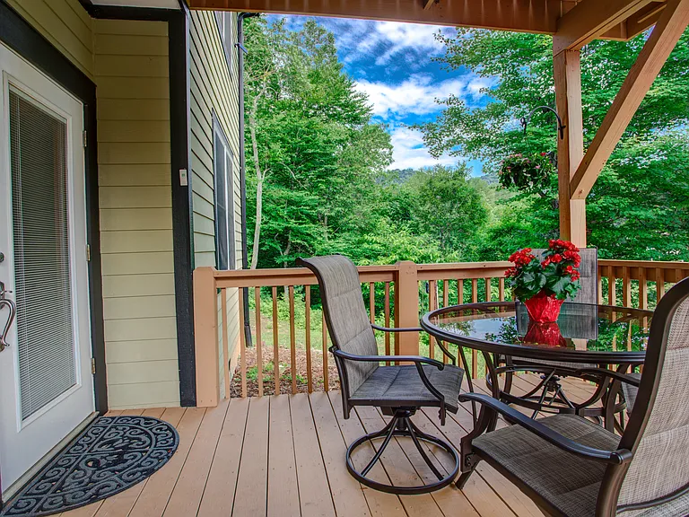 342 Old Haw Creek Rd — Photo 63