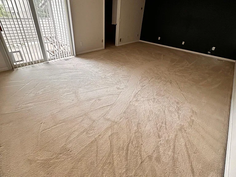 2355 Coyote Creek Dr — Photo 14