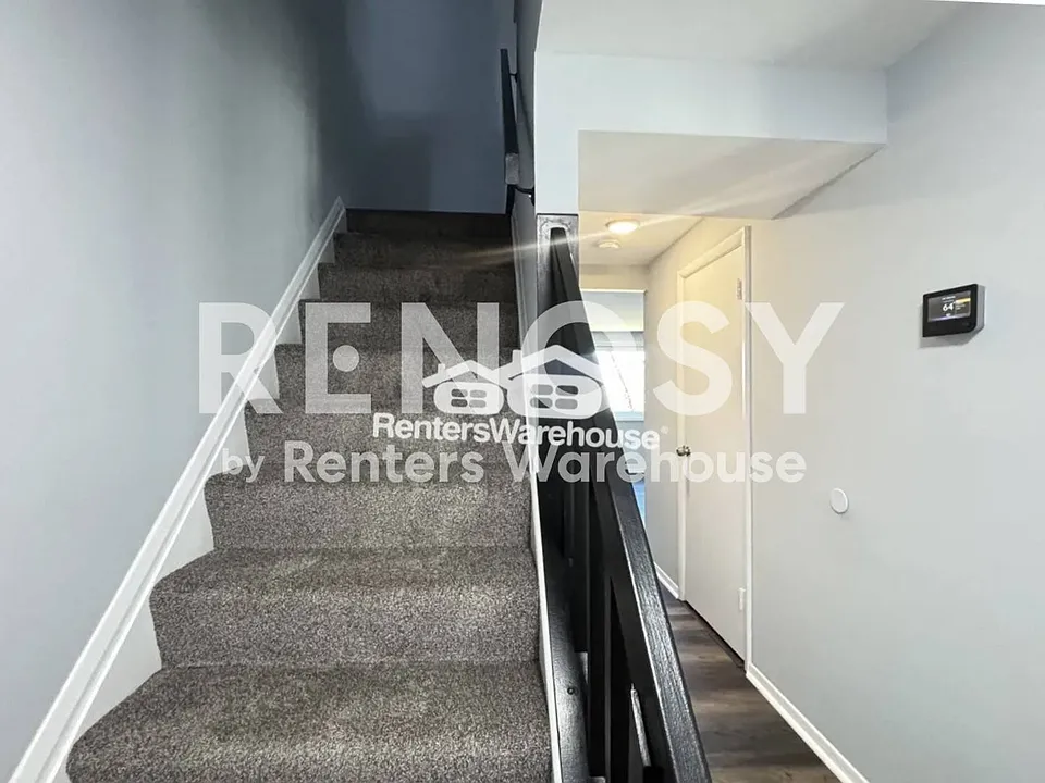 6585 Sweet Fern