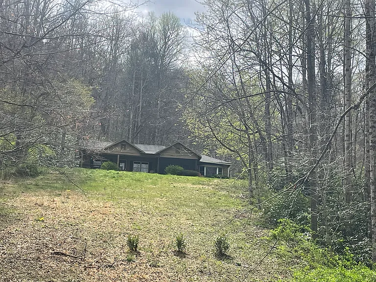 view from the bottom of the meadow