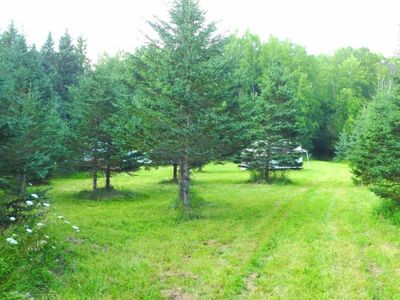 2702 Yordy Rd, Mio, MI, 48647