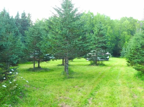 2702 Yordy Rd, Mio, MI 48647