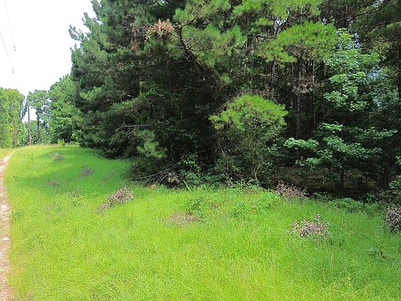 5th image of 462 County Road 1655