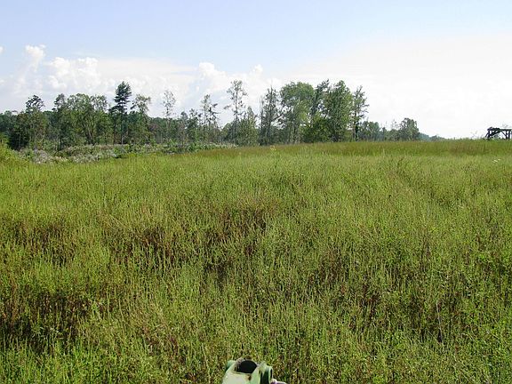 2nd image of Wassom Memorial Hwy