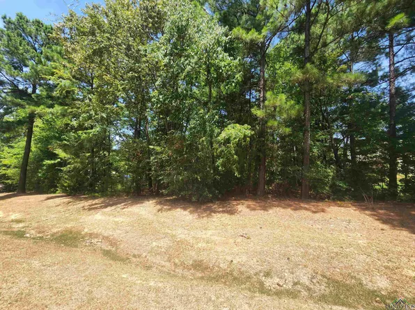 Lake Estates Trl, Longview, TX 75605
