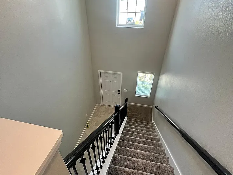 2926 Black Birch Dr — Photo 51