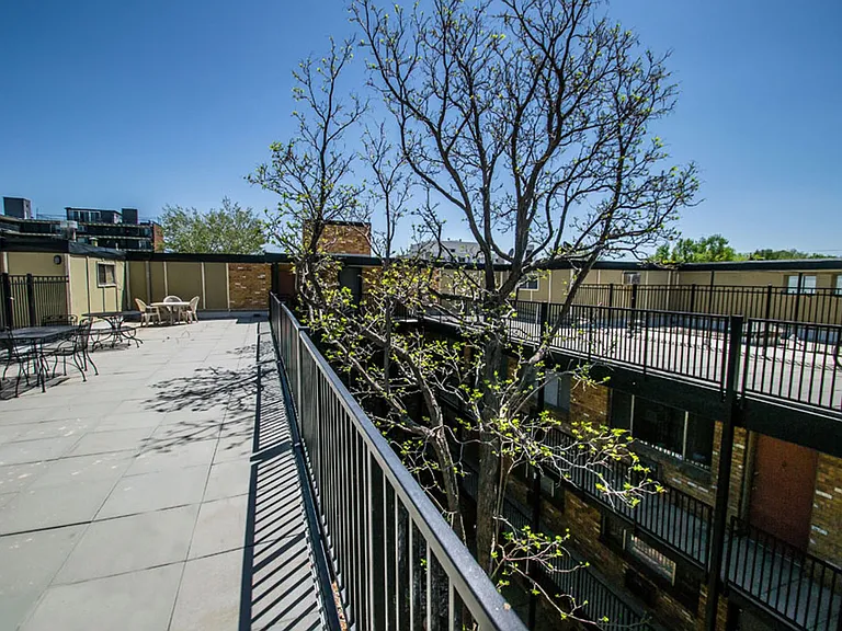 Dexter Street Apartments — Photo 3