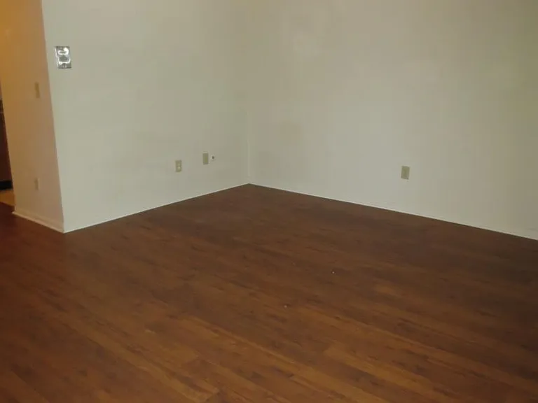 Living & Dining Room