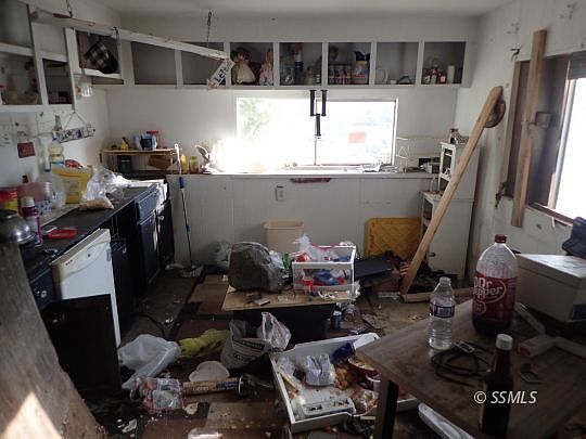 5th image of 10 Agave Ave