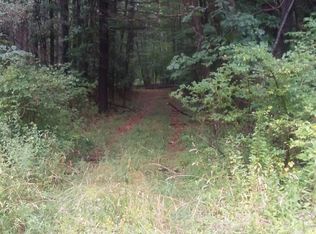 355 Flat Rock Rd, Lake George, NY 12845