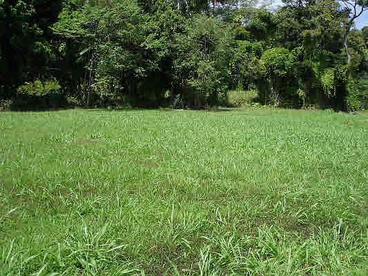 4th image of Mamalahoa Hwy Lot 16