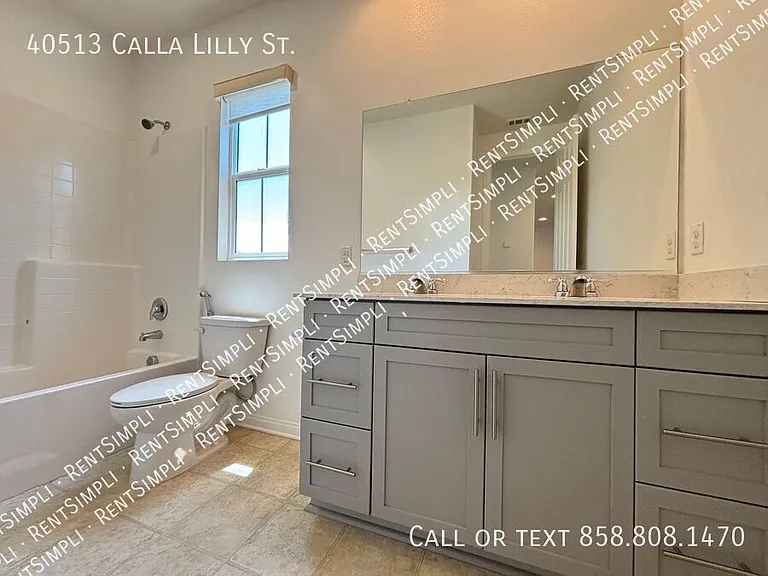 40513 Calla Lilly St — Photo 22