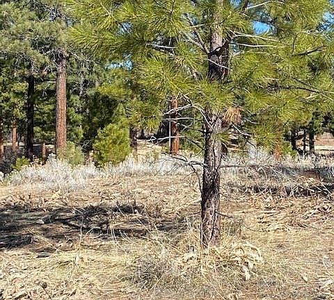 4th image of 47 Blue Grouse Ln