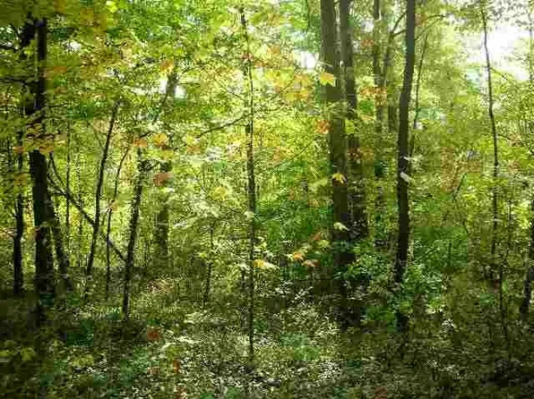 0 Amanda Furnace Dr, Ashland, KY 41101