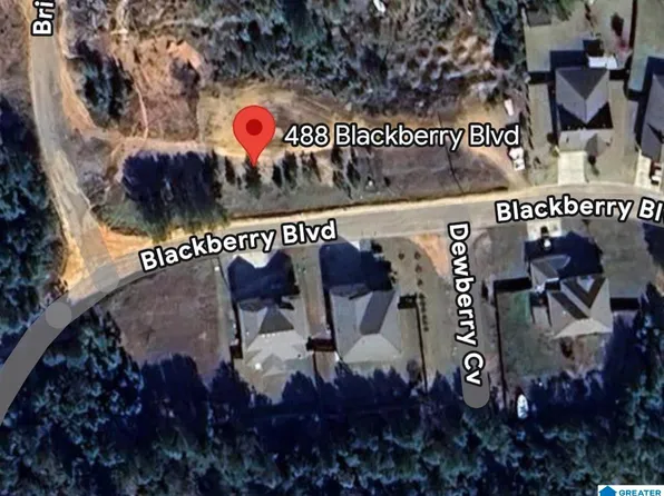 488 Blackberry Blvd #514, Springville, AL 35146