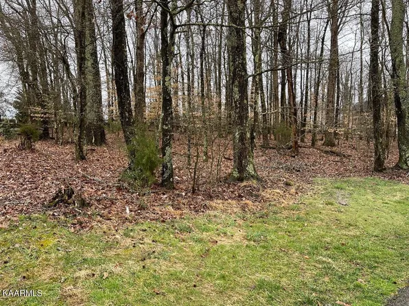 447 Kahite Trl, Vonore, TN 37885